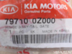 Наружные петли двери багажника для Hyundai ix35 2010> - вид 2 (фото)