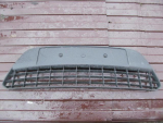 Решетка в бампер центральная для Ford Focus II 2008-2011, OEM 1520644 - вид 1 (фото)