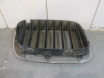 Решетка радиатора для BMW X5 E53 2000-2007, OEM 51138247673 - вид 3 (фото)