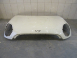 Капот для Mini R56 2005>, OEM 41612754738 - вид 1 (фото)