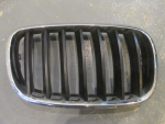 Решетка радиатора для BMW X5 E70 2007>, OEM 51317185224 - вид 1 (фото)