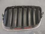 Решетка радиатора для BMW X5 E70 2007>, OEM 51317185224 - вид 4 (фото)