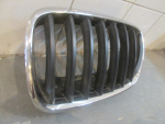 Решетка радиатора для BMW X5 E70 2007>, OEM 51137171395 - вид 2 (фото)