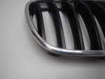 Решетка радиатора для BMW X3 F25 2010>, OEM 51117210726 - вид 2 (фото)
