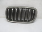 Решетка радиатора для BMW X6 F16 2014>, OEM 51137349387 - вид 1 (фото)