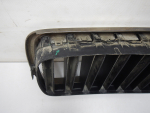 Решетка радиатора для BMW X6 F16 2014>, OEM 51137349388 - вид 4 (фото)