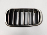 Решетка радиатора для BMW X6 F16 2014>, OEM 51137349387 - вид 1 (фото)