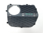 Решетка в бампер левая для BMW X6 E71 2008>, OEM 51117312605 - вид 2 (фото)