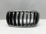 Решетка радиатора для BMW X6 F16 2014>, OEM 51137349387 - вид 1 (фото)