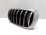 Решетка радиатора для BMW X6 F16 2014>, OEM 51137349387 - вид 2 (фото)