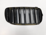 Решетка радиатора для BMW X6 F16 2014>, OEM 51137349387 - вид 4 (фото)