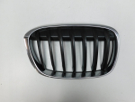 Решетка радиатора для BMW X1 F48 2015>, OEM 51137354824 - вид 1 (фото)