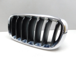 Решетка радиатора для BMW X5 F15 2013-2018, OEM 7316075 - вид 2 (фото)