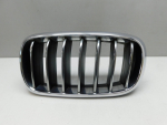 Решетка радиатора для BMW X5 F15 2013-2018, OEM 7316075 - вид 1 (фото)