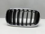 Решетка радиатора для BMW X5 F15 2013-2018, OEM 7316075 - вид 1 (фото)