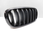 Решетка радиатора для BMW X5 F15 2013-2018, OEM 51137316076 - вид 2 (фото)