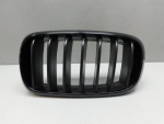 Решетка радиатора для BMW X5 F15 2013-2018, OEM 7316075 - вид 1 (фото)