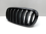 Решетка радиатора для BMW X5 F15 2013-2018, OEM 7316075 - вид 2 (фото)
