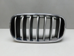 Решетка радиатора для BMW X5 F15 2013-2018, OEM 7316075 - вид 1 (фото)