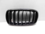 Решетка радиатора для BMW X5 F15 2013-2018, OEM 7316075 - вид 1 (фото)