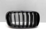 Решетка радиатора для BMW X5 F15 2013-2018, OEM 51137316076 - вид 1 (фото)