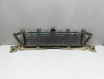 Решетка в бампер центральная для BMW X1 F48 2015>, OEM 51118059888 - вид 2 (фото)