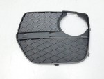 Решетка в бампер левая для BMW X6 E71 2008>, OEM 51117312605 - вид 1 (фото)