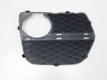 Решетка в бампер левая для BMW X6 E71 2008>, OEM 51117312605 - вид 2 (фото)