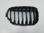 Решетка радиатора для BMW X1 F48 2015>, OEM 51138080619 - вид 1 (фото)