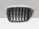 Решетка радиатора для BMW X3 G01 2017>, OEM 51137464920 - вид 2 (фото)