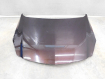 Капот для Opel Insignia 2008>, OEM 1160013 - вид 1 (фото)