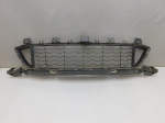 Решетка в бампер центральная для BMW X1 F48 2015>, OEM 51118059888 - вид 1 (фото)