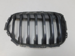Решетка радиатора для BMW X1 F48 2015>, OEM 51138493450 - вид 1 (фото)