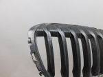 Решетка радиатора для BMW X1 F48 2015>, OEM 51137354824 - вид 2 (фото)