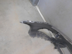 Бампер передний для Volkswagen Caddy IV 2016>, OEM 2K5807221K - вид 8 (фото)