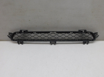 Решетка в бампер центральная для BMW X3 F25 2010>, OEM 51117210466 - вид 1 (фото)
