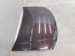 Капот для Renault Duster 2011>, OEM 651000987R - вид 2 (фото)
