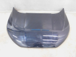 Капот для Ford EcoSport 2014>, OEM GN1Z16612B - вид 1 (фото)