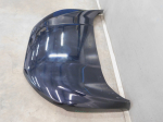 Капот для Ford EcoSport 2014>, OEM GN1Z16612B - вид 3 (фото)