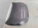 Капот для Toyota RAV 4 2019>, OEM 533010R110 - вид 2 (фото)
