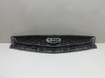 Решетка радиатора для Geely Tugella 2020>, OEM 8891165090 - вид 1 (фото)