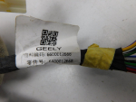 Проводка (коса) для Geely Atlas Pro 2021>, OEM 6600012668 - вид 2 (фото)