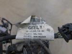 Проводка (коса) для Geely Tugella 2020>, OEM 8891462444 - вид 3 (фото)
