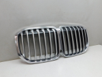 Решетка радиатора для BMW X7 G07 2018>, OEM 51138094566 - вид 2 (фото)
