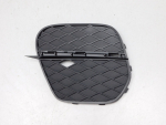 Решетка в бампер левая для BMW X5 E70 2007>, OEM 51117222859 - вид 1 (фото)