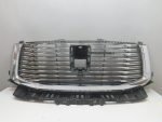Решетка радиатора для Tank 500 2021>, OEM 5509200XKV3CA - вид 1 (фото)