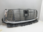 Решетка радиатора для Tank 500 2021>, OEM 5509200XKV3CA - вид 2 (фото)