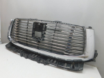 Решетка радиатора для Tank 500 2021>, OEM 5509200XKV3CA - вид 3 (фото)