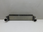 Интеркулер для Exeed TXL 2020>, OEM 302000960AA - вид 1 (фото)