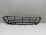 Решетка в бампер центральная для BMW X1 F48 2015>, OEM 51117383353 - вид 1 (фото)
